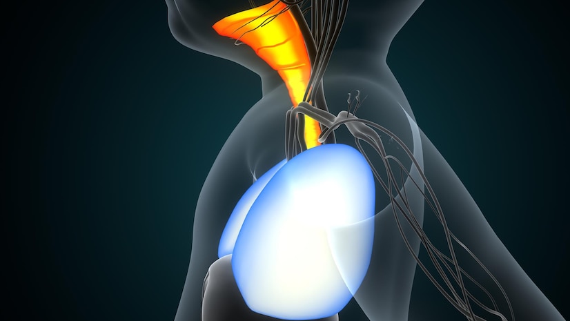 orthopedic doctor in south delhi
